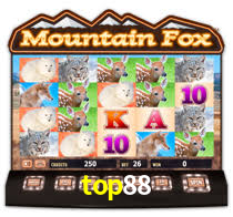 top88,top88.com
